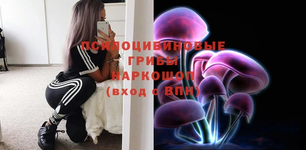 ГАЛЛЮЦИНОГЕННЫЕ ГРИБЫ Ельня