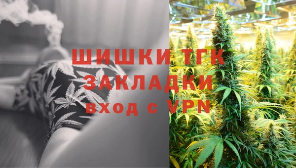 дмт Елизово