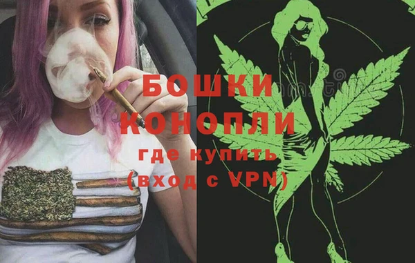 дмт Елизово