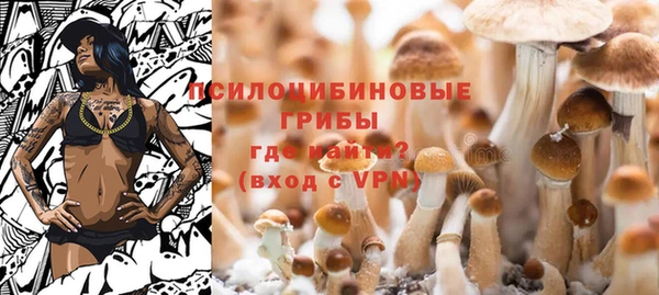 COCAINE Майский