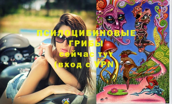 крисы Дмитров