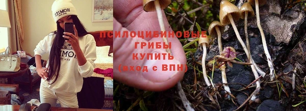 стафф Дмитровск