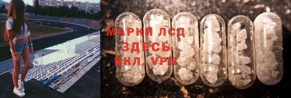 крисы Дмитров