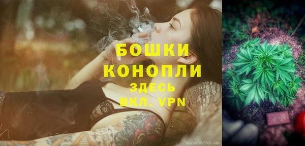 трава Щучье