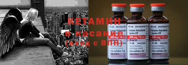 крисы Дмитров