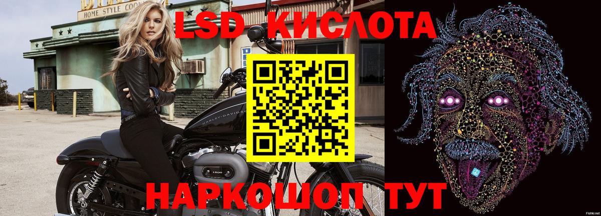 Наркотические марки 1,5мг  Наркотические марки 1,5мг  Гатчина  Марки N-bome  Вход с VPN 