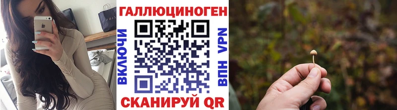 mega сайт  Гатчина  Галлюциногенные грибы GOLDEN TEACHER 