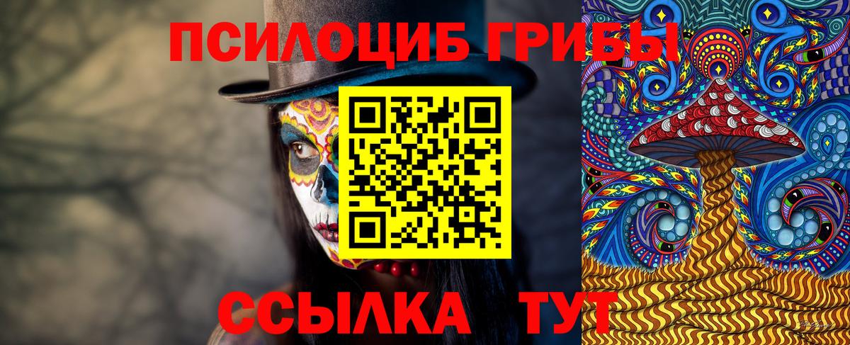 Галлюциногенные грибы мицелий  наркота  Галлюциногенные грибы прущие грибы  Гатчина 