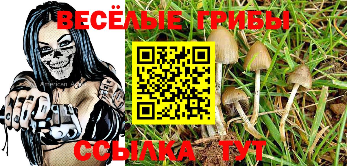 Псилоцибиновые грибы GOLDEN TEACHER Гатчина