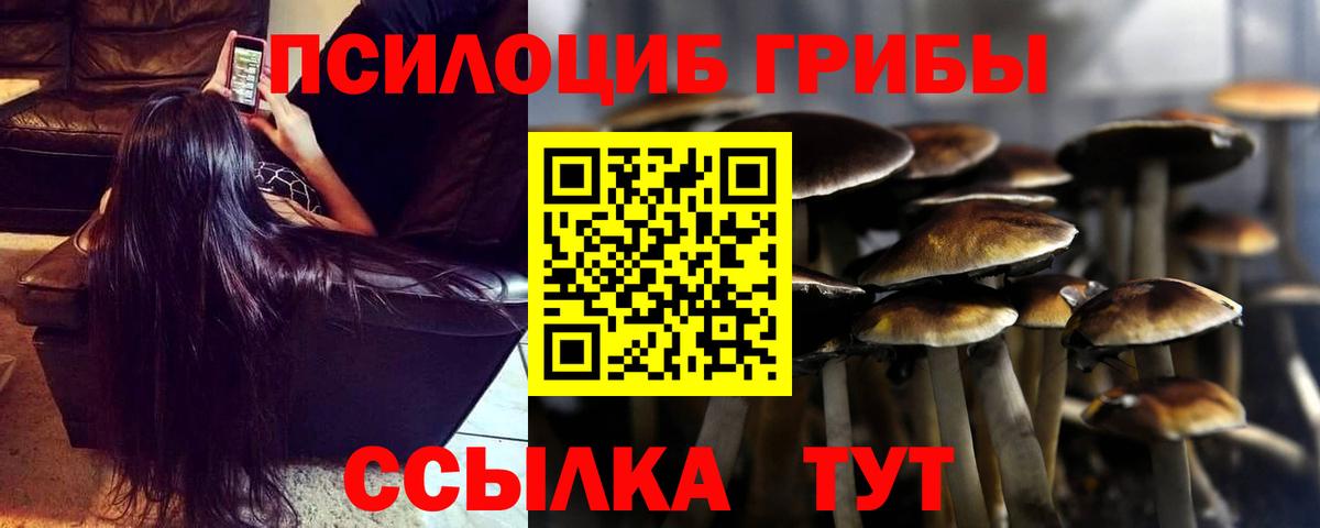 Псилоцибиновые грибы Magic Shrooms  Вход с VPN  Гатчина  Псилоцибиновые грибы Psilocybe 